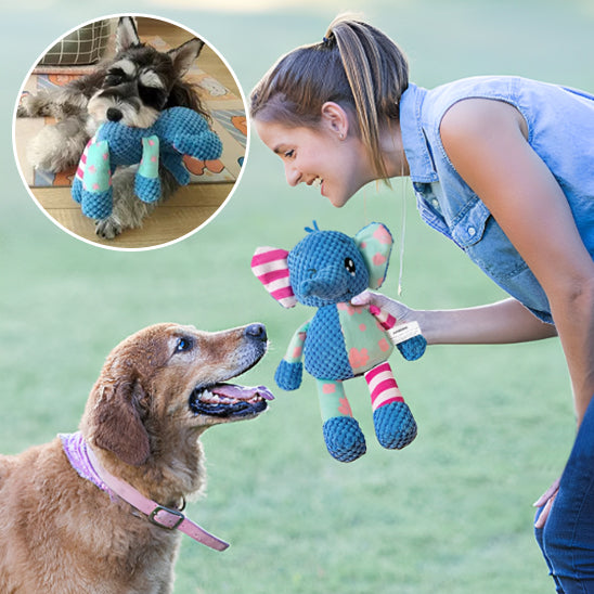 jouet pour chien\animaux en velours