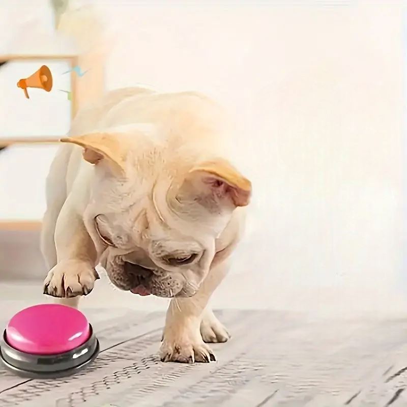 Jouet Interactif pour Chien - ChienParlant™ - Magenta