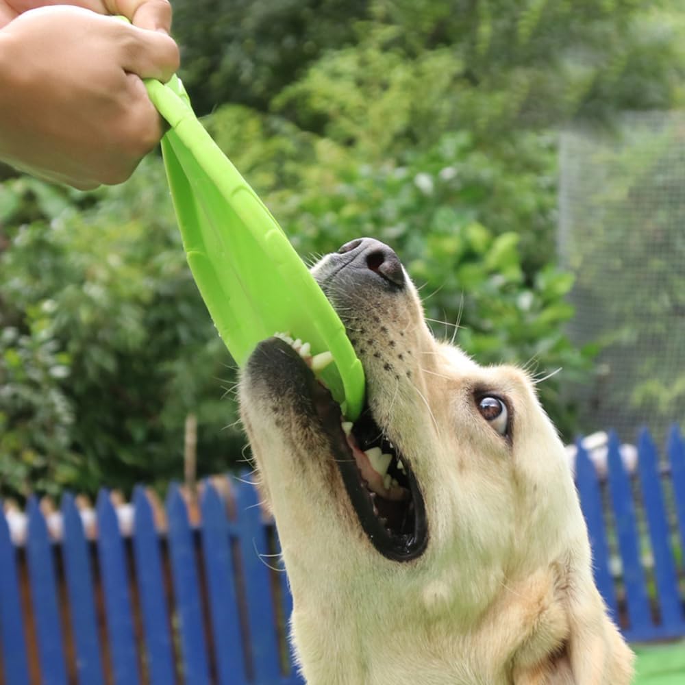 Frisbee Chien - FlyingDiscToys™ - Vert