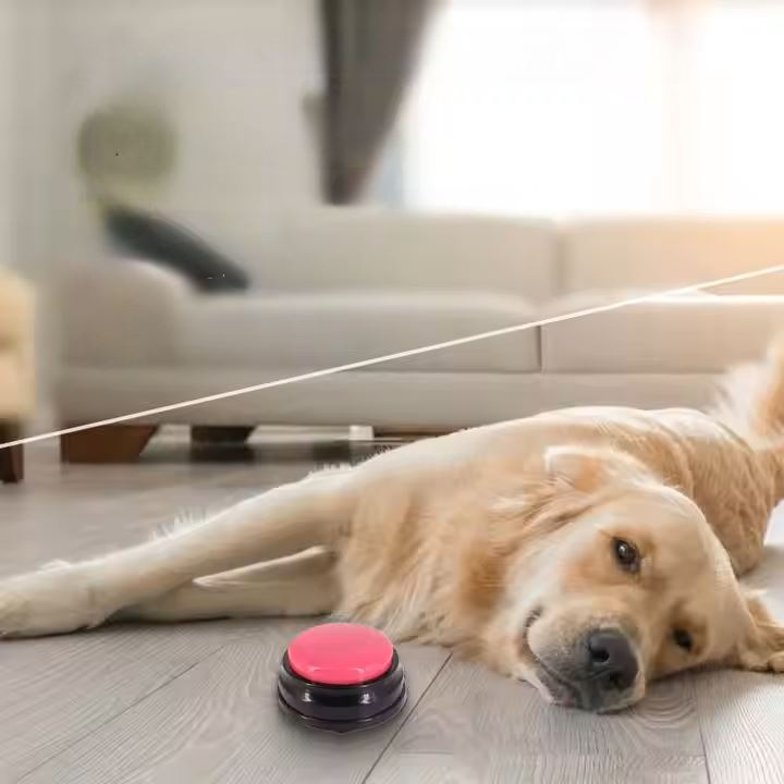 Jouet Interactif pour Chien - ChienParlant™ - Magenta