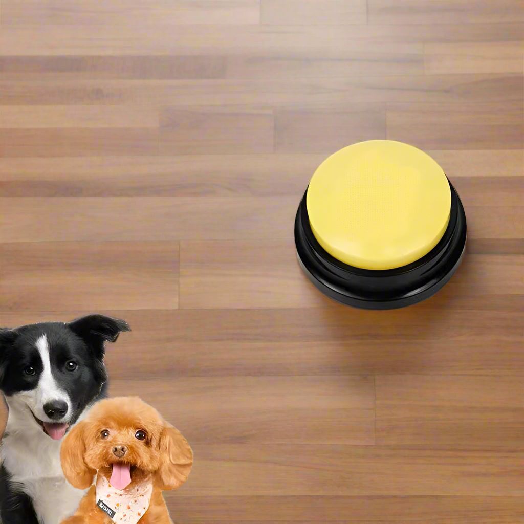 Jouet Interactif pour Chien - ChienParlant™ - Jaune