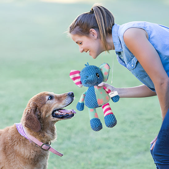 peluche-elephant-gros-chien-attentif-femme-souriante
